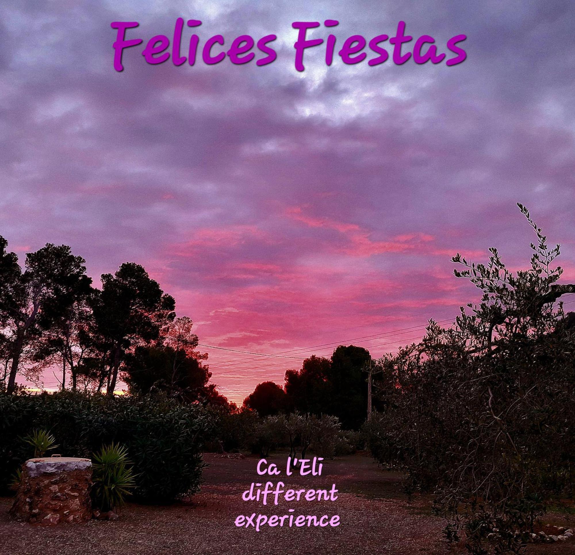 Ca L'eli Different Experience Hutt 12157 Mont-roig del Camp